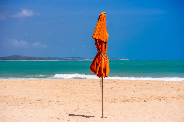Rows of colorful sun loungers with umbrellas line the sandy beach of Egypt, inviting relaxation by the tranquil sea under a clear sky.