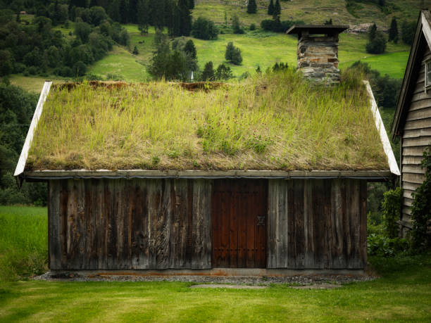 Old barnhouse with turf roof Norway
