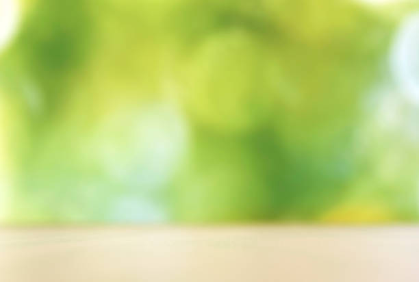 Soft Focus Background With Greenery and Natural Light Creates a Serene Ambiance for Relaxation or Creativity