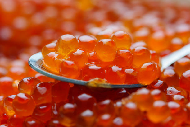 istock Salted chum salmon roe. Ikura. 2198703706