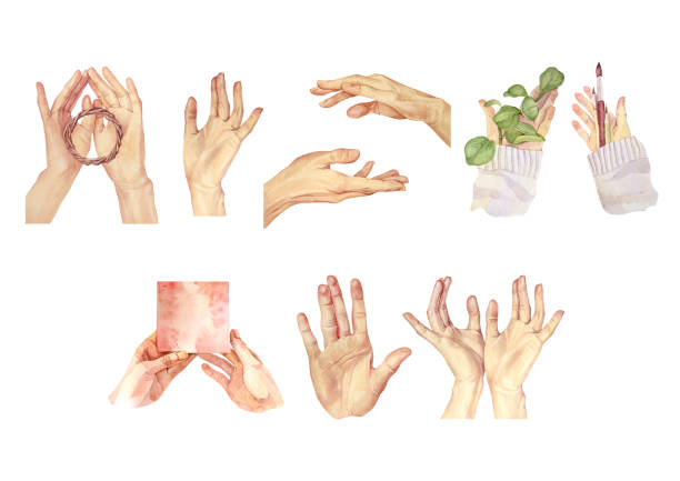 istock Set with watercolor hand with holding blank business card or gift box isolated on white background. Clipart with copy space for text. Artist 
 hands with brush and plant. Wallpaper or wrapping 2198704616