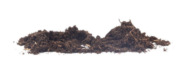 istock biosoil or soil texture, isolated on white background 2198709627
