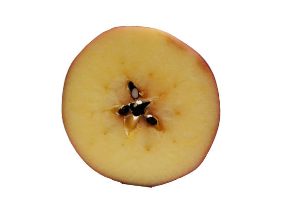 istock Fresh Sliced Red Apple Showing Seeds Isolated on White Background 2198712405