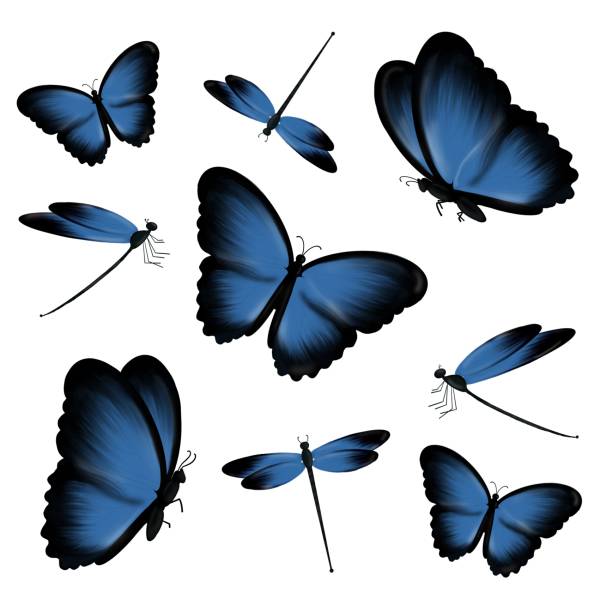 istock A set of blue dragonflies and butterflies 2198712471
