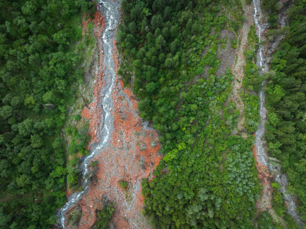 istock Aerial view of pine tree forest mountain landscape 2198718048