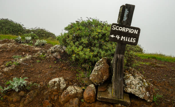 istock Scorpion 4 Miles Sign Along Trail In Channel Islands 2198719663