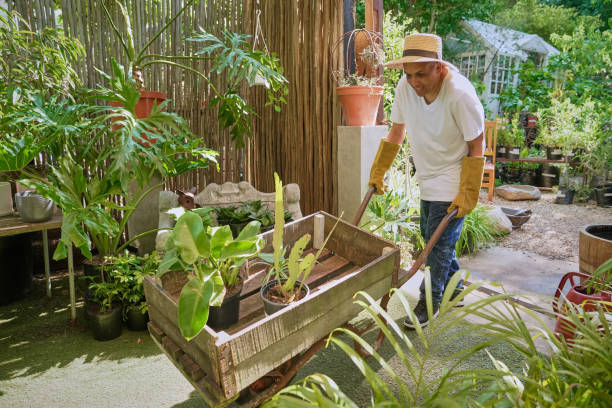 Disabled man pushing wheelbarrow at plant nursery