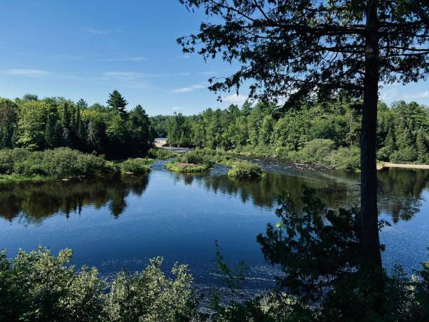istock Tranquil River View – Lush Green Forest and Reflections on a Bright Summer Day 2198724654