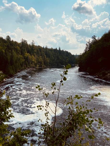 istock Tranquil Waters Surrounded by Lush Forest – A Peaceful Retreat in Nature 2198724667