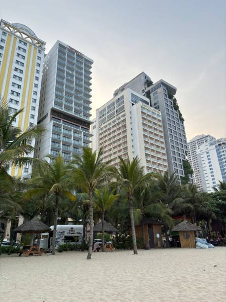 istock Da Nang’s Skyline Meets Tropical Vibes – A Blend of Modern Architecture and Palm Trees 2198724866