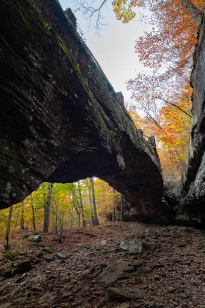 istock Alum Cove Natural Bridge, AR 2198728204