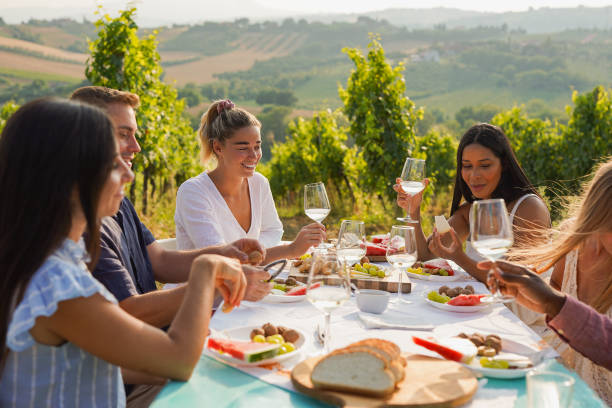 istock Group of young diverse people doing picnic and drinking wine at vineyard - Multircial friendship and outdoor activity concept - Focus on blond woman face 2198728989