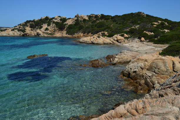 istock The beach of Cala Napoletana 2198730290