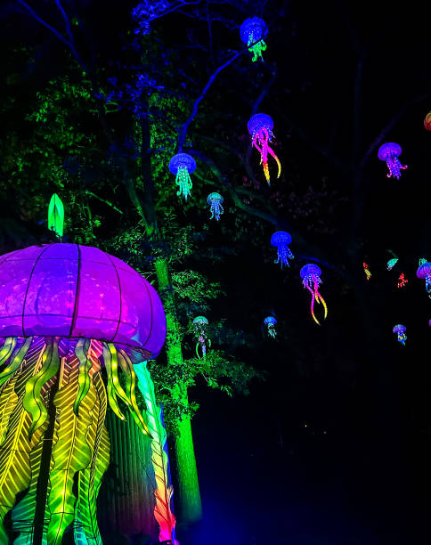 istock Jellyfish In The Sky 2198734056