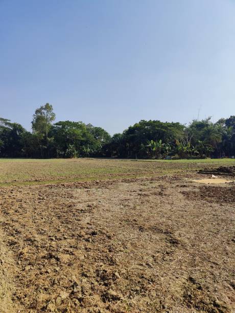 istock agricultural field with trees in the background and blue sky. 2198736514