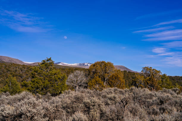 The Strawberry Crater Wilderness was designated as a national wilderness in 1984 under the National Wilderness Act. This 10,141-acre area protects a fascinating volcanic landscape that includes Strawberry Crater, a cinder cone rising about 1,000 feet above the surrounding terrain.  The area is part of the San Francisco Volcanic Field, where eruptions occurred between 50,000 and 600,000 years ago. Strawberry Crater itself is thought to be around 50,000 to 100,000 years old. The rugged terrain features lava flows, cinder cones, and basalt formations, providing a unique look at Arizona’s volcanic past.  The Strawberry Crater Wilderness is within the Coconino National Forest near Flagstaff, Arizona, USA.