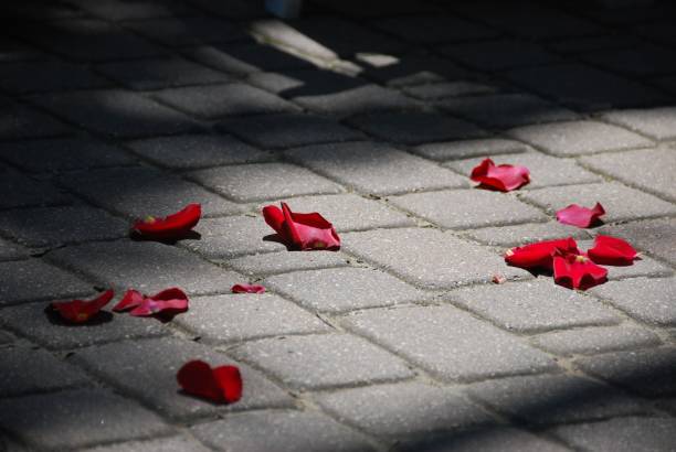 istock Flower Petals Down the Wedding Aisle 2198740170