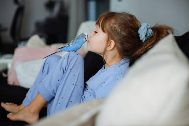 istock Young Girl Playing With Pet Budgerigar 2198742230