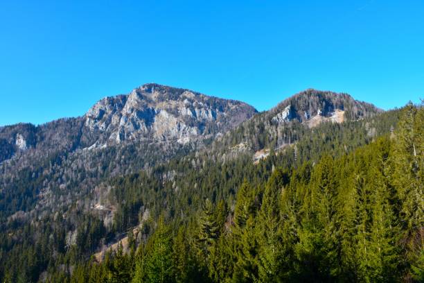 istock Coniferous forest covered slopes bellow Virnikov Grintavec mountain peak in Gorenjska, Slovenia 2198742585