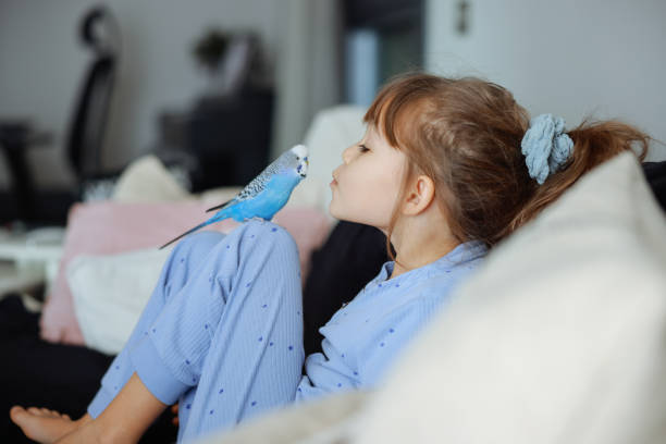 istock Young Girl Playing With Pet Budgerigar 2198742754