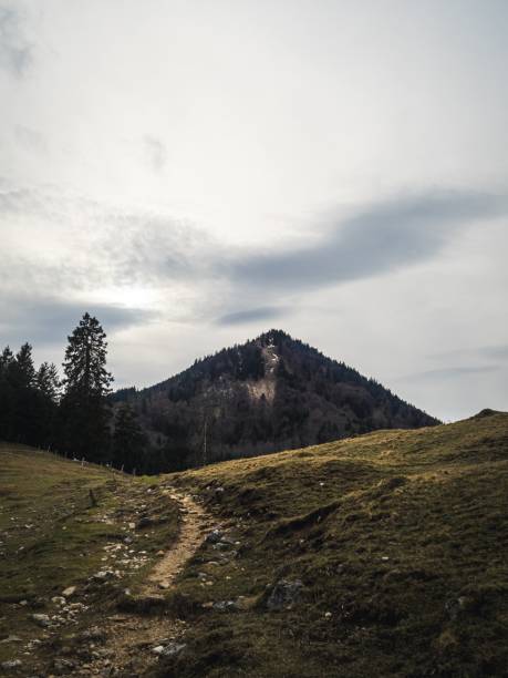 istock Mountain Trail Leading to Forested Peak 2198742920