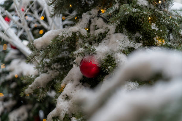 istock Snow-covered Christmas tree adorned with red ornaments and lights 2198744174