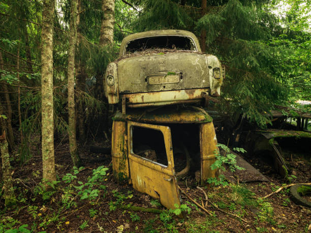 Abandoned vintage cars in forest Sweden