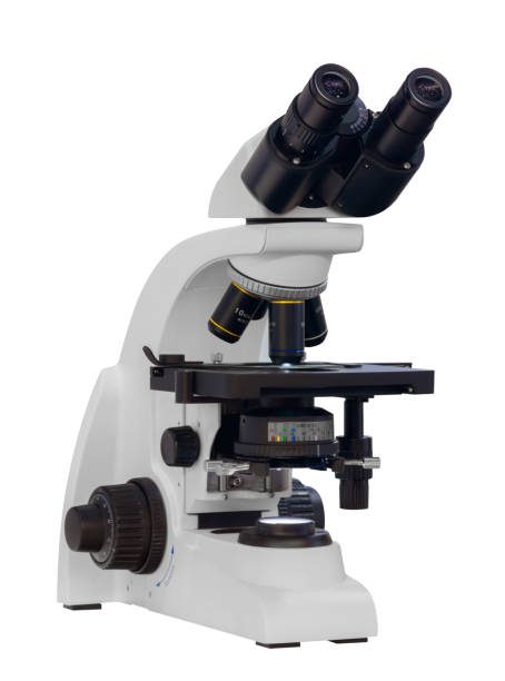 istock A microscope with a white base and black and yellow lenses. The microscope is in focus and ready to be used 2198749183