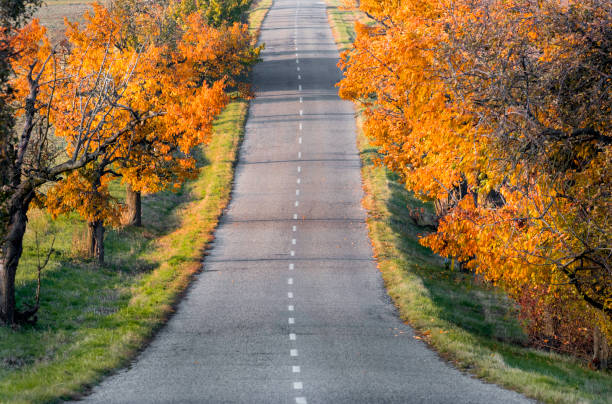 istock autumn road in the countryside 2198750377