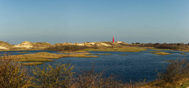 A striking red lighthouse stands atop coastal dunes, overlooking shimmering blue waters and lush marshlands, creating a perfect harmony of natural beauty and maritime heritage. Captured in Schiermonnikoog National Park, Netherlands, Europe.