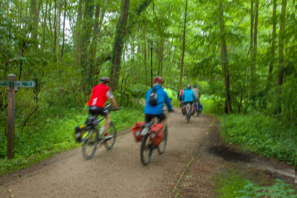 istock vERY GOO DIRT PATH (FOOTPATH IN pOTSDAM 2198753792