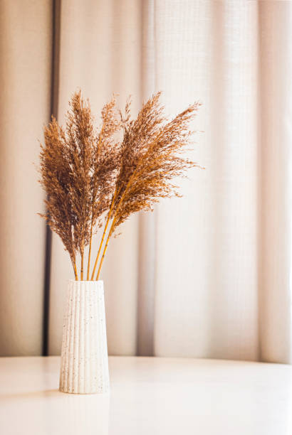 istock Decorative dried grass arrangement in a textured vase on a minimalist table with soft curtains in the background 2198756059