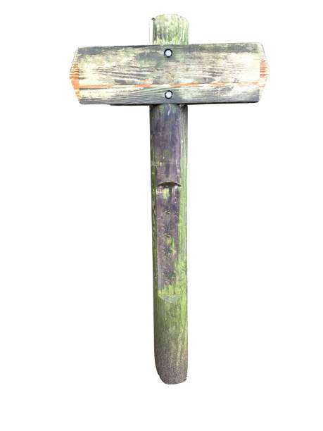 istock Old wooden sign isolated on white, empty signpost 2198757932