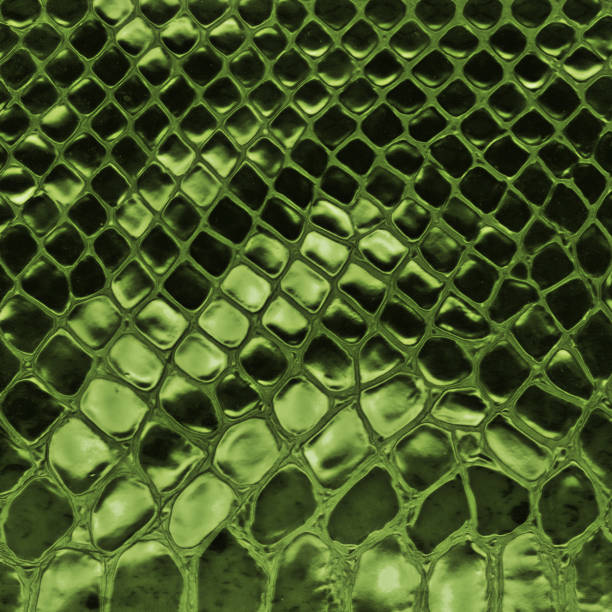 istock Shiny Green Snakeskin Texture Background 2198759040