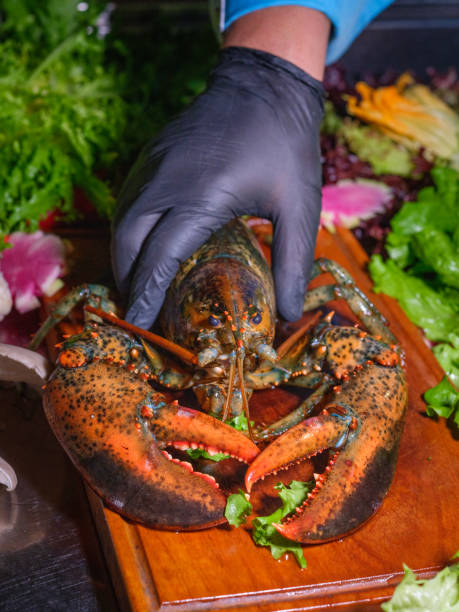 istock Seafood kitchen chef preparing to cook a fresh lobster. 2198759733