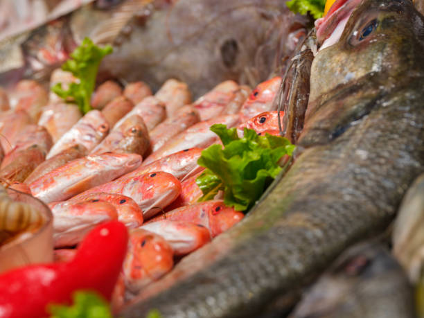 istock Fresh red mullet fish on the fish market counter. 2198760296