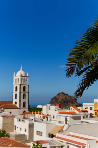istock Garachico town with rock and palm tree leaves vertical 2198760660