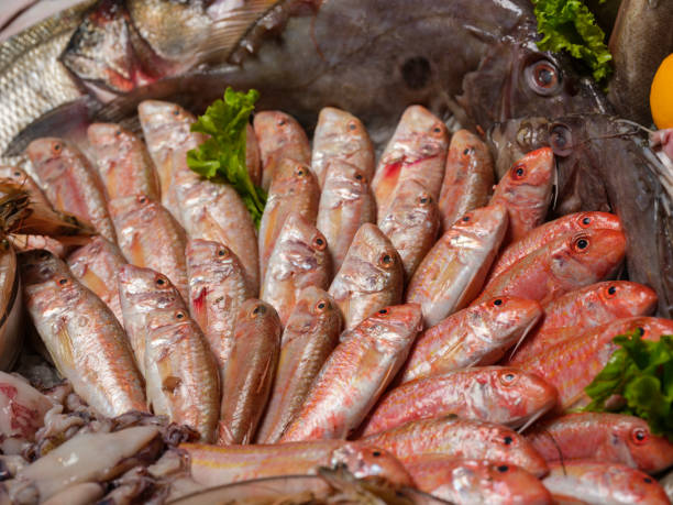 istock Fresh red mullet fish on the fish market counter. 2198760902