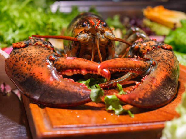 istock Fresh and vibrant lobster in the seafood kitchen. 2198761121