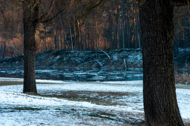 A picturesque small river flows through a snowy forest, reflecting the soft evening light on its water surface. Massive trees covered in white snow leaning over the water create a magical atmosphere of peace and untouched winter nature during sunset.