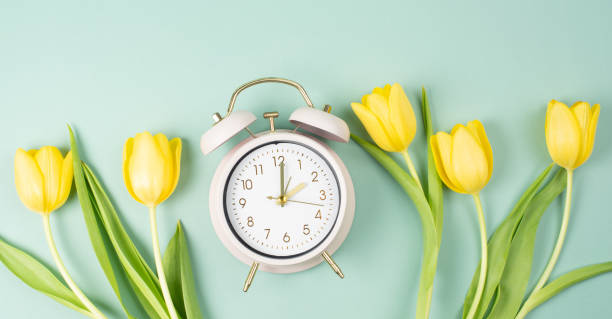 istock Alarm clock with yellow tulip flowers, switch to daylight saving time in spring, summer time changeover 2198761650