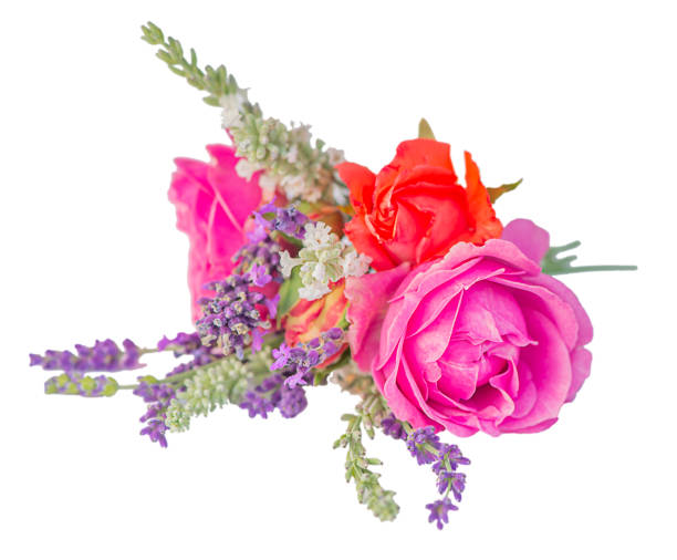 istock mini bouquet of roses and lavender isolated on white background 2198764689