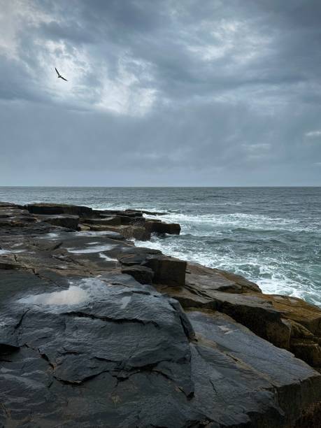 istock Stormy Coastline with Crashing Waves (Acadia National Park, Maine, USA) 2198765888