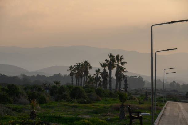 Gentle twilight casts a warm glow over a tranquil landscape of palms and distant mountains.