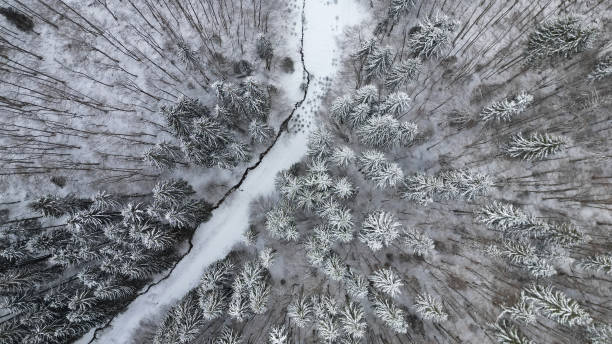 istock Aerial View of a Snow-Covered Winter Forest 2198773673