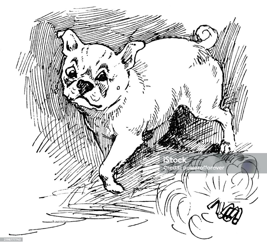 Start Led Drawing Pug Dog Startled By Firecrackers By Louis Wain 19th Century Stock ...