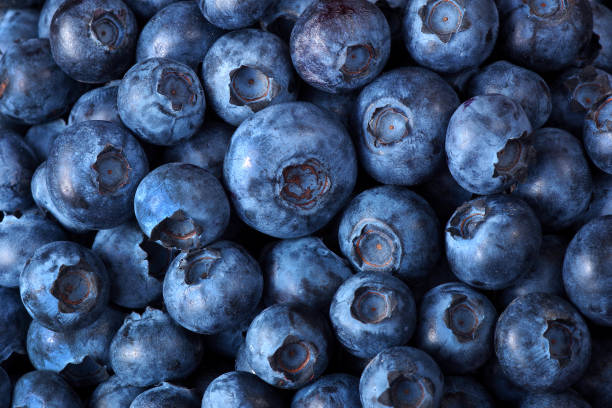 istock ripe juicy blueberries texture background. top view. close up 2198778905