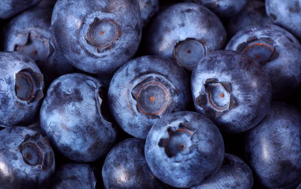istock ripe juicy blueberries texture background. top view. close up 2198778954
