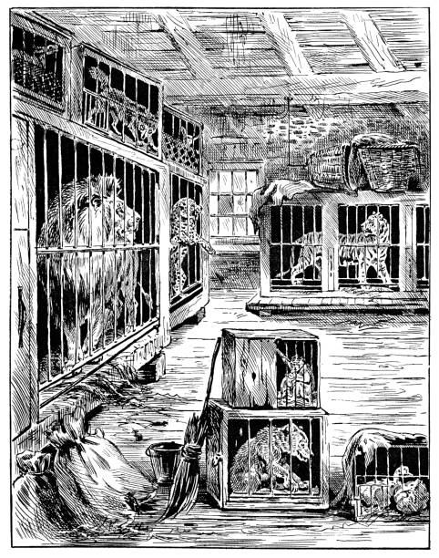 A travelling menagerie, full of exotic animals. Vintage etching circa 19th century.