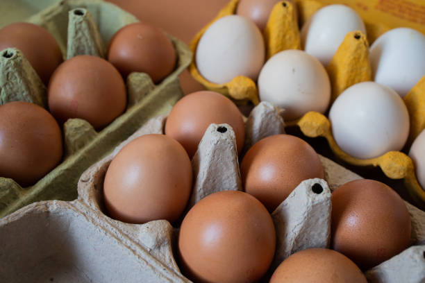 istock White and brown chicken eggs in multicolored paper cartons 2198780591